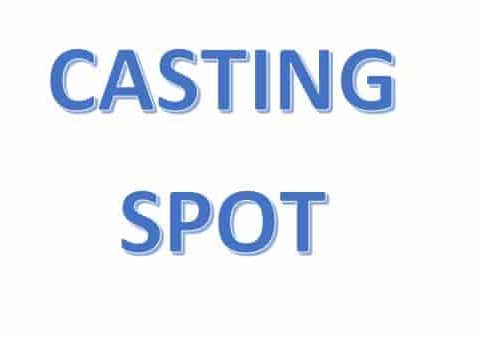 spot rh casting service