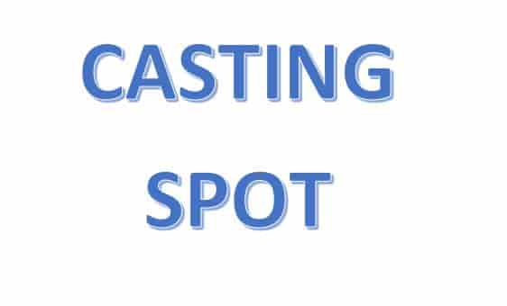 spot rh casting service